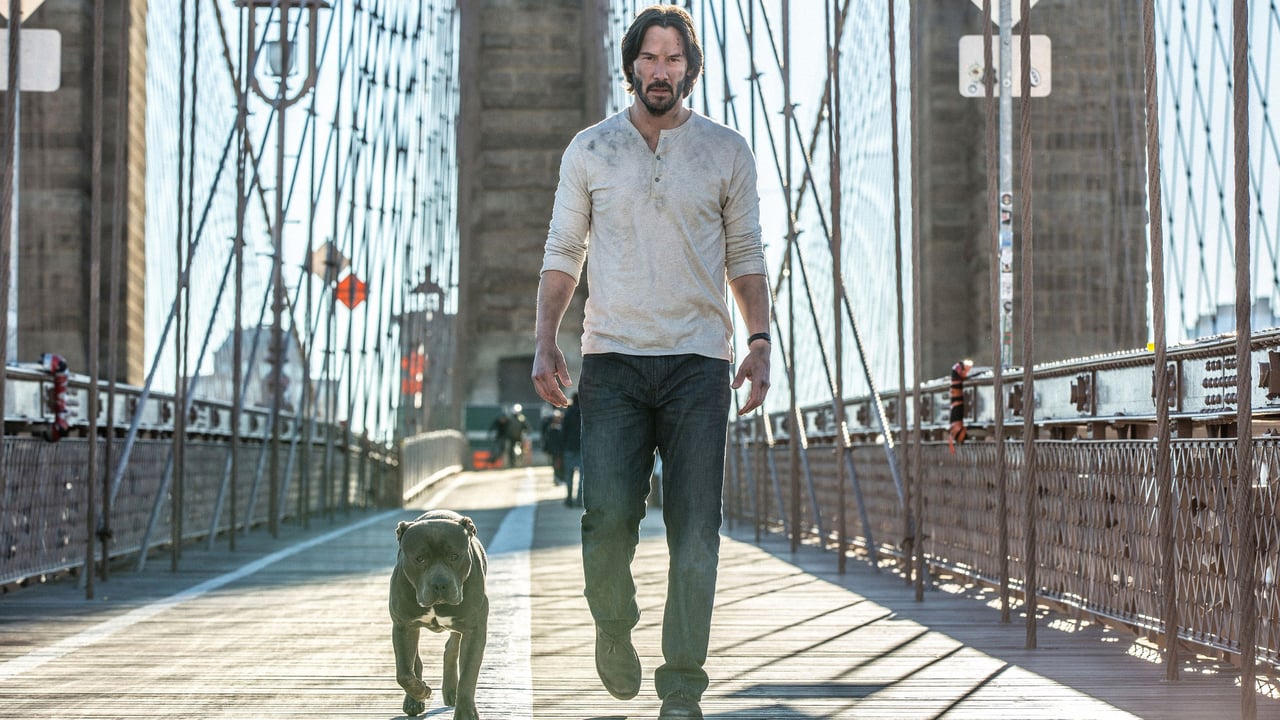 John Wick: Chapter 2 0