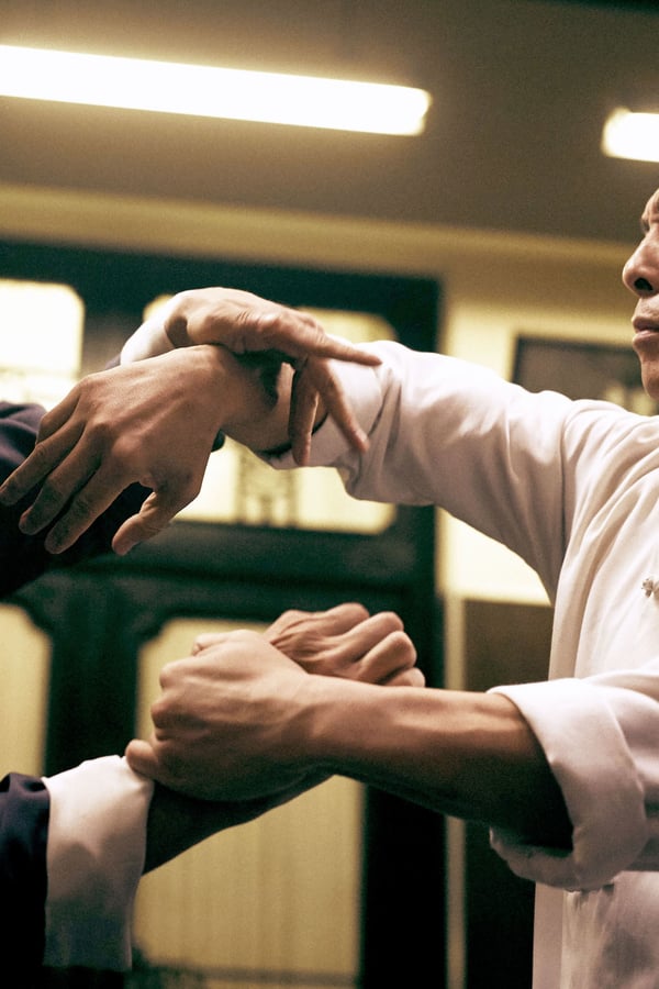 Ip Man 3 0