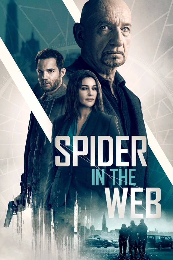 NL - SPIDER IN THE WEB