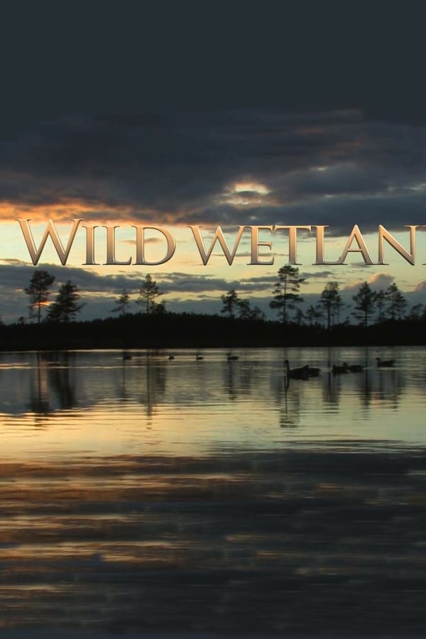 AR - Wild Wetland