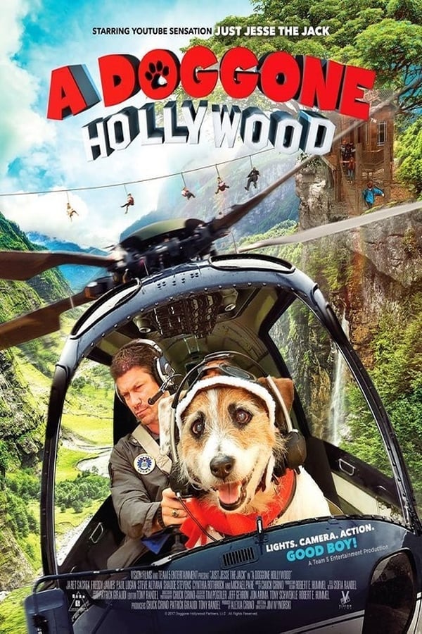 EN - A Doggone Hollywood (2017)