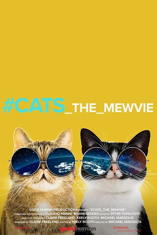 NF - Cats The Mewvie