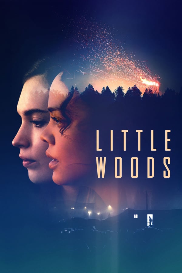 AR - Little Woods