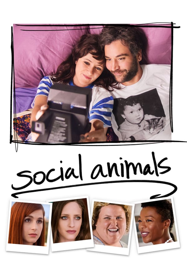 SE - Social Animals