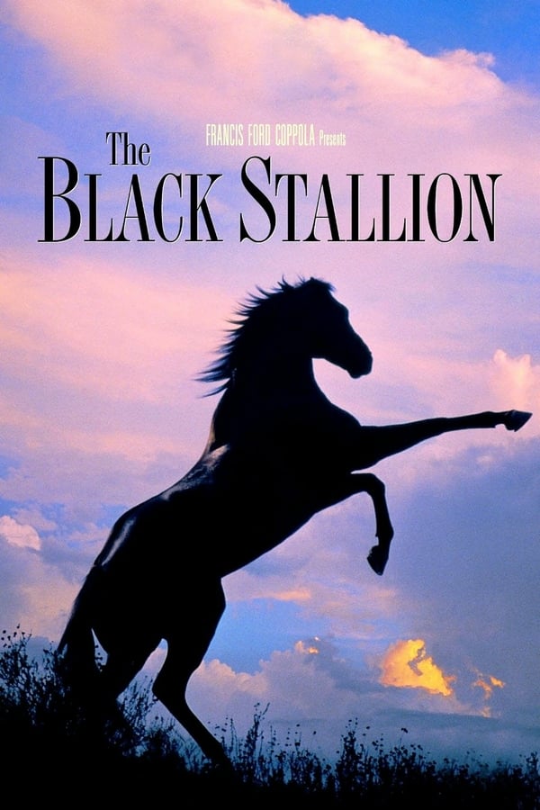 SE - The Black Stallion