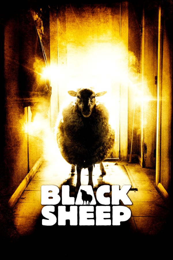 SE - Black Sheep