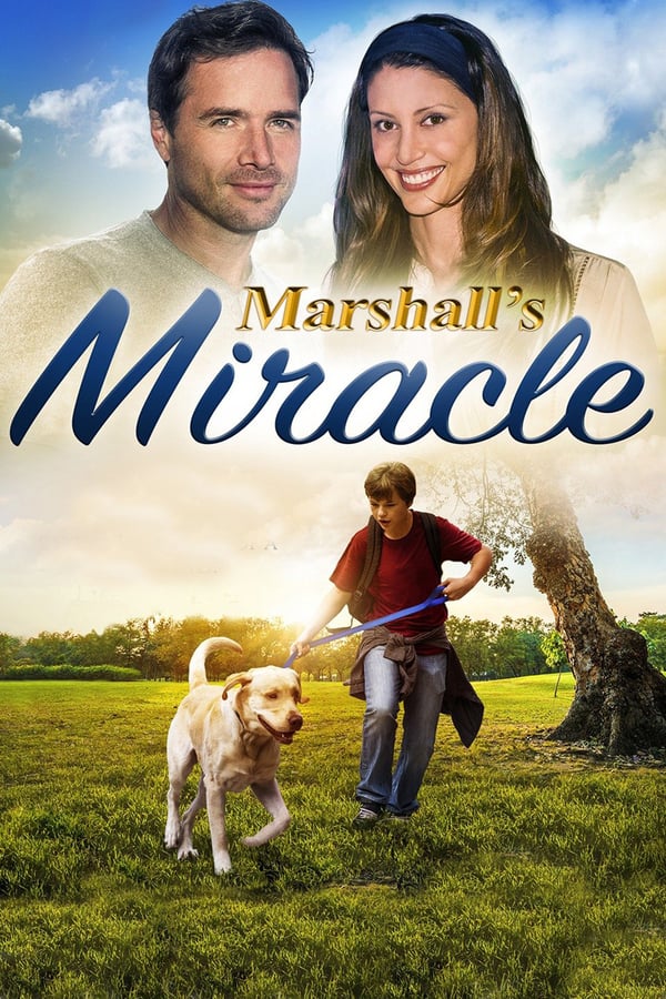 SE - Marshall The Miracle Dog