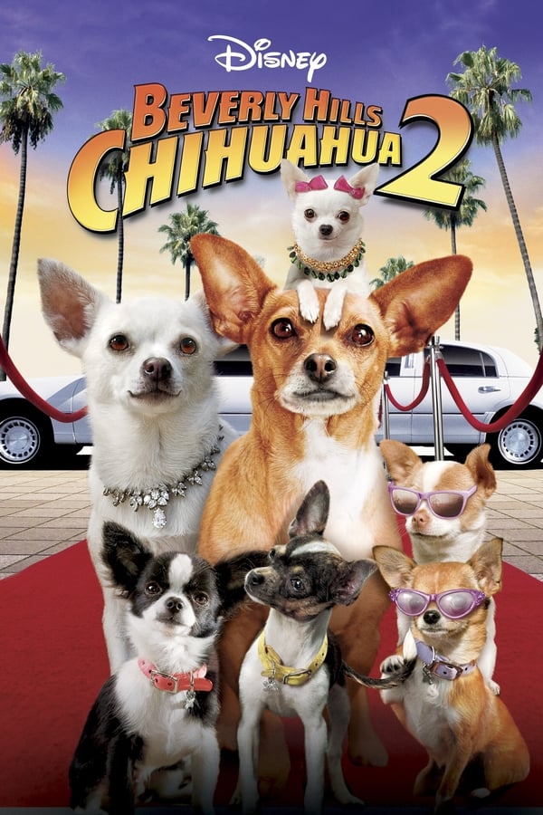 SE - Beverly Hills Chihuahua 2